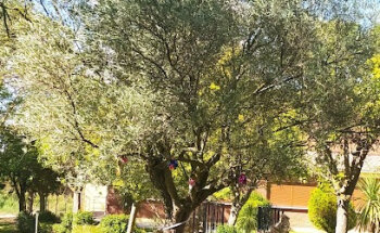 Centro de Día Villa San José