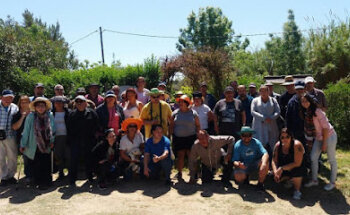 Associació Ment i Salut La Muralla