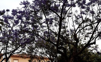 Residencia tercera edad