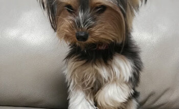 Centro Integral San José Obrero