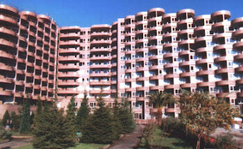 Asylum Foundation Torrelavega