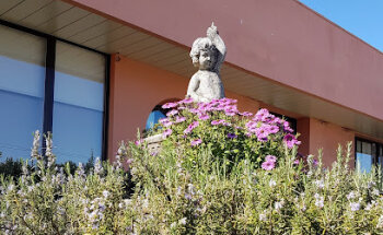 Instituto de Mayores y Servicios Sociales