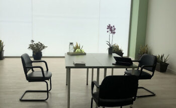 Alea Servicio Integral del Mayor