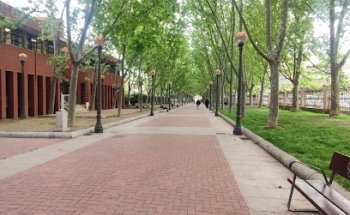Cruz Roja en Logroño