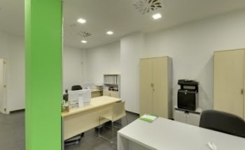 Ley de Dependencia | Ayuda a Domicilio Elche | Asistenzia