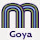 MSOLUCIONA GOYA - NOW HOME HELP