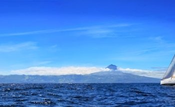 Scansail Yachts International GmbH