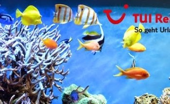 TUI ReiseCenter Marktheidenfeld Reisebüro Heller