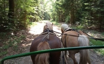 Heidefahrten Krüger