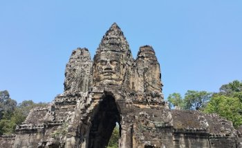 Colibri Reiseservice