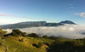 Le voyage selon Alfred