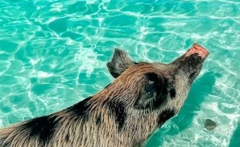 sonnenklar.TV Reisebüro Franziska Hegner