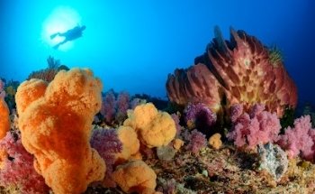 Reisecenter Federsee