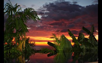 Reisebüro Biehl GmbH