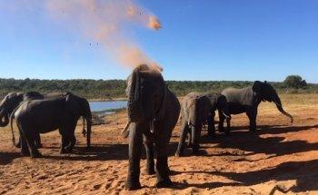 Just Journey - Independent Travel Agents - West Bridgford