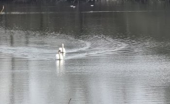 Mundstock Reisen GmbH