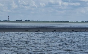 Wangerländer Seetouristik Reederei K. Ilse e.K.
