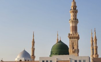 Selectour - Hajir Tours