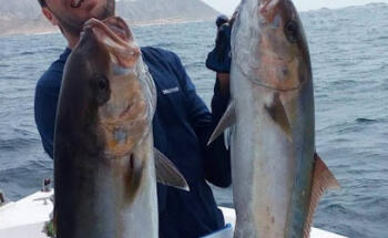 Fishon Tour