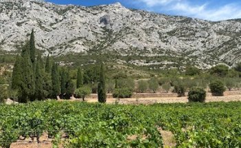 Planet Provence - Wine Tours in Provence