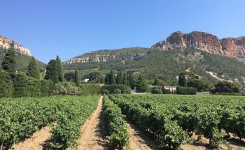 Provence Wine Tours