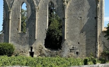 Private Wine Tours Bordeaux