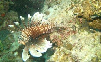 Tourpoint Reis- en Passagebureau