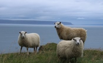 ENLAKORO Voyages Singuliers.