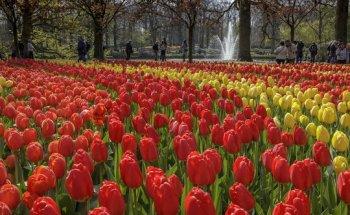 HollandDutchTours.nl