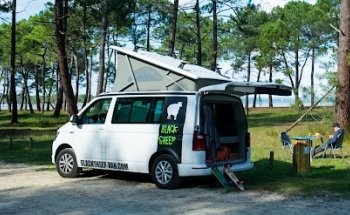 Blacksheep Van Amiens