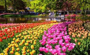 Locaboat Holidays Alphen - Hausboot mieten Holland & Amsterdam