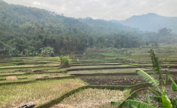 Antarin