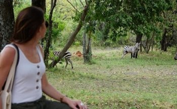 INSTANT DE LIBERTÉ - TRAVEL DESIGNER