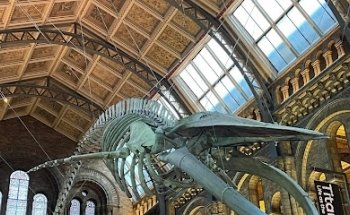 Objective Sport Évasion