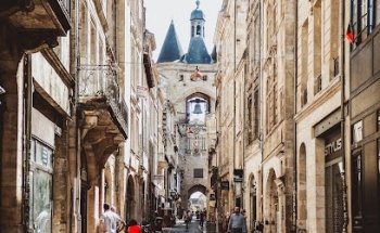 Vert Bordeaux : wine tours & guided tours