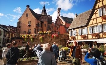 Ophorus Day Trips & Wine Tours in Alsace