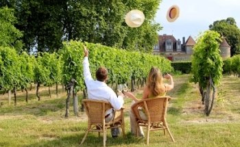 Bordovino Wine Tours