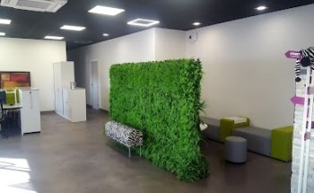 LES VOYAGES DU ZEBRE PELISSANNE