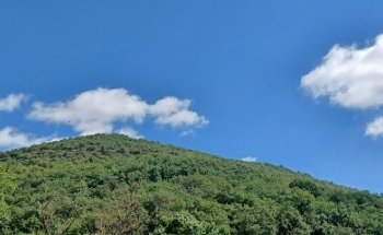 GoColo | Colonie de vacances