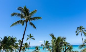 House of Travel Ponsonby