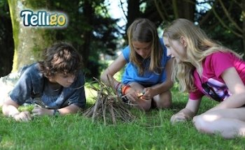Telligo
