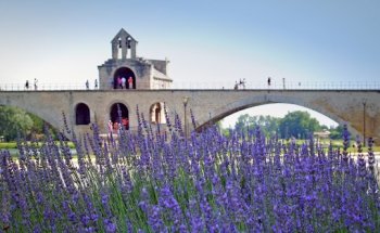 HWA-REN 法国华人旅游