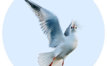 Reisebüro Frossard AG