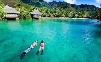 Not Just Travel Direct