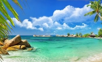 Vive y Viaja Turismo