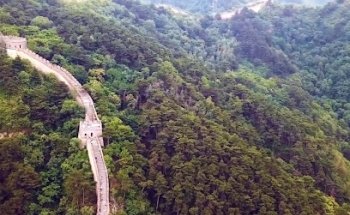 Grenzenlos Viajes y Turismo en Mar del Plata