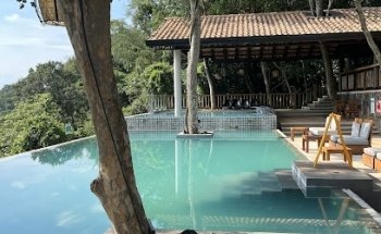 MacDermott's Argentina