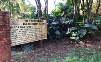 Aventura Saltos y Selva