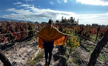 Modo Turista | Agustina Giner