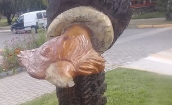 Agencia de Viajes de Turismo Iris